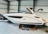 SEA RAY 265 SUNDANCER